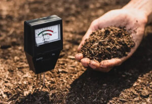 how to test soil pH