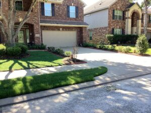 lawn treatments Katy