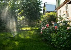 DIY lawn irrigation