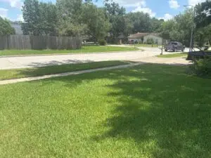 lawn care services