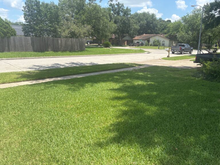 lawn care services