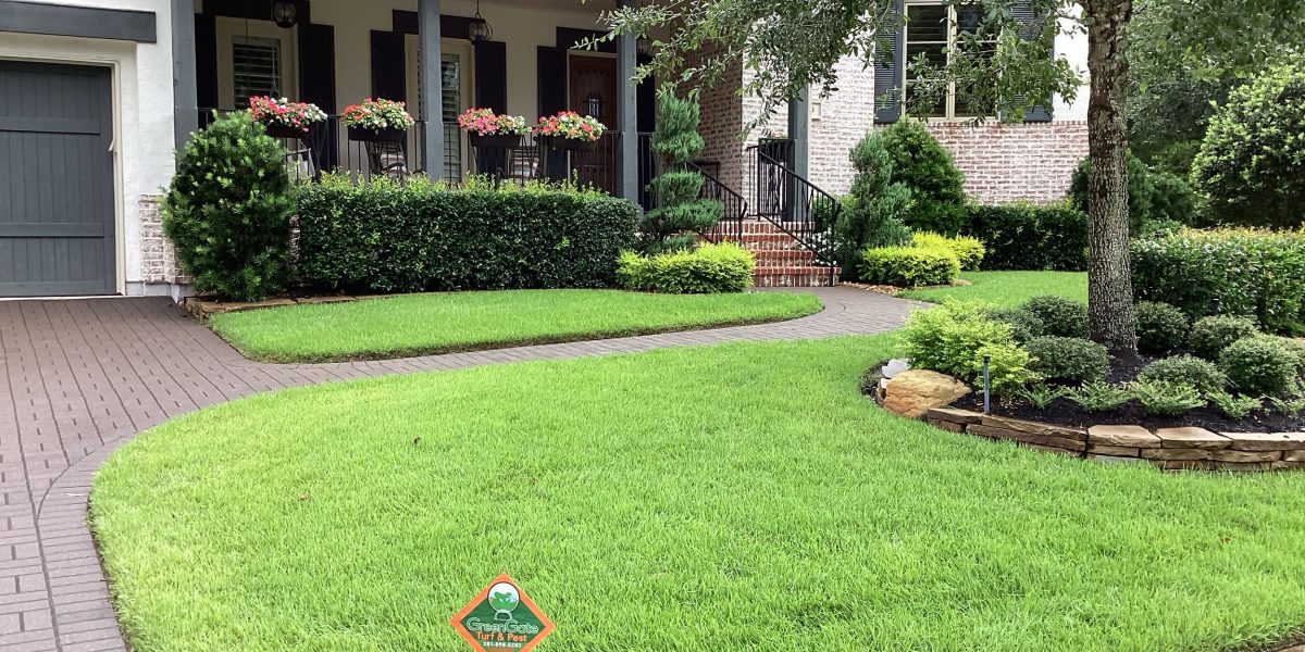 Lush lawn with well-maintained landscaping and shrubs in Houston, TX