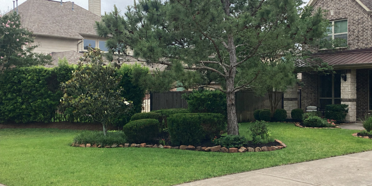 garden edging ideas