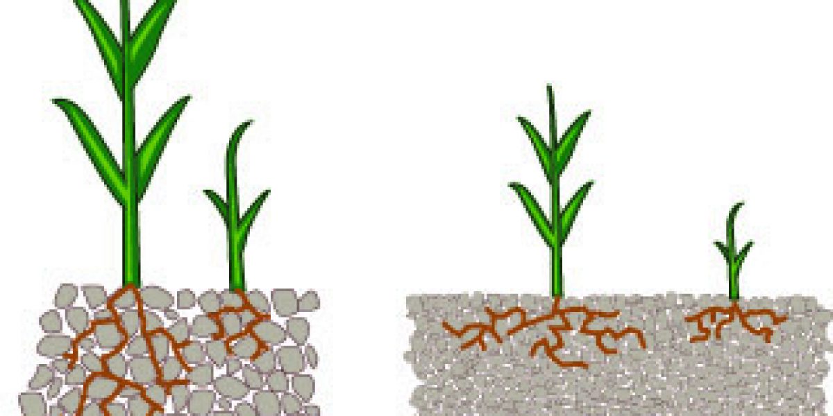 Left: Soil with good structure (non-sodic soil).
Right: Soil with poor and dense structure (sodic soil).