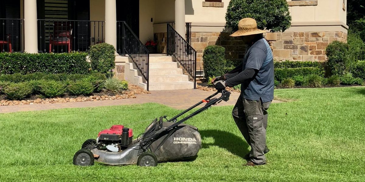 Lawn mowing service The Woodlands