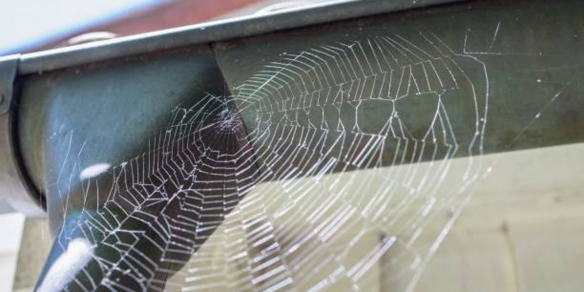 A spider web intricately woven and hanging from a metal roof structure in Houston, TX