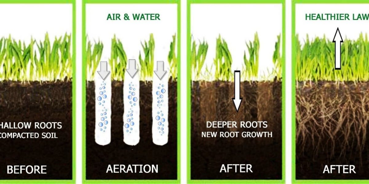 aeration explanation